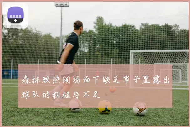 森林狼热闹场面下缺乏华子显露出球队的粗糙与不足